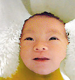 СSŮ��Lily��Ƭ�׶��ع�������O��S(���D)