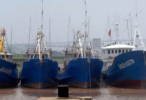 ������