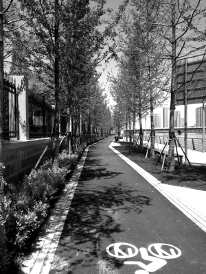 Ŀǰ�ѽ���16�f(w��n)ƽ���׾G���γ�5.5�����B�m(x��)�G��ÿ�������н�ǧ�˴��ڽ��Ʌ^(q��)���(n��i)呟������e