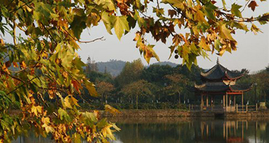 ���ϵ�һ�ſh�ǡ����ȳ�һ��