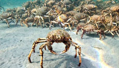 ���^����ǧ���fֻ֩��з�R��ī��������