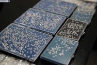 �Ї����P(gu��n)�ƫ@һ���ش��@ʯ��˽�� ��ֵ38.8�|