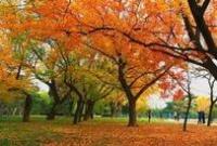 �������124���"����" ������֮��