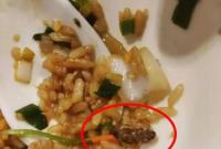 ����֪��С���r�ꔂ��������ͳԵ���� ����@���f(shu��)��