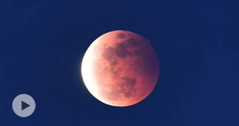 ҕ�l��(l��i)��������(j��)�t�����F(xi��n)��