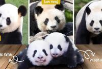 ���÷���؈�p��̥���̫@��"�A��""�g����"