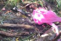 ���|(zh��)�ˆT����ʧ(li��n)�Ѿ�����:������Щ���y?