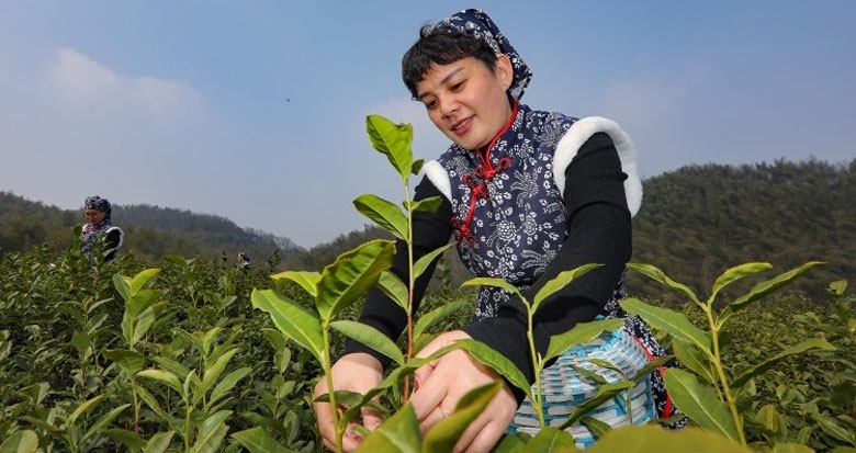 ���������M(j��n)���_����