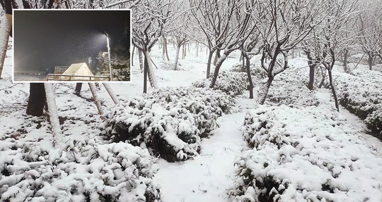 ����ɽ�^(q��)����ѩ����