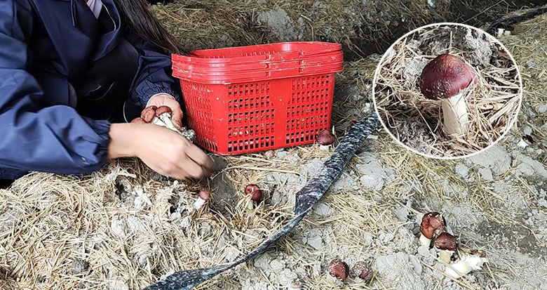 �������������� �����ׂ������B�N�Ŀ�ڷ�@�óɹ�