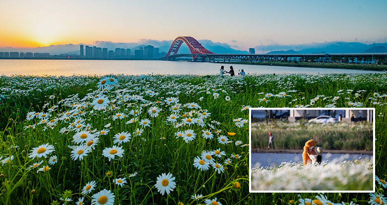 �ٮ�������sʢ�����@���S��һ�ľ��Ǹ���ڼ�