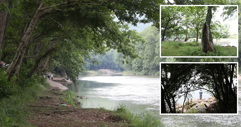 �������¡���ˮ�����������@Ƭ���GҰ��ۙ��������