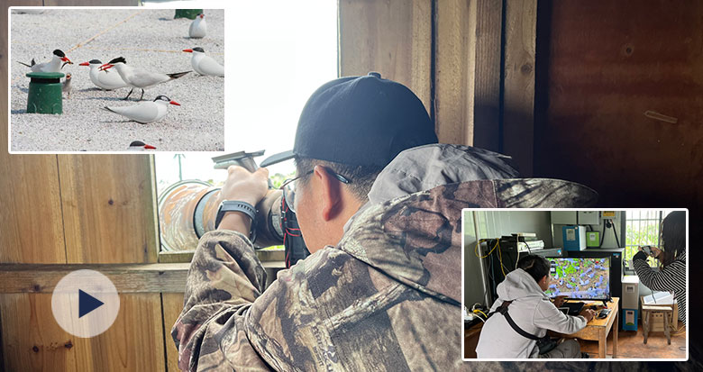 ӛ���w�(y��n)"��Ԋ(sh��)��Ĺ���"���v�عu ���o(h��)"��Ԓ֮�B(ni��o)"