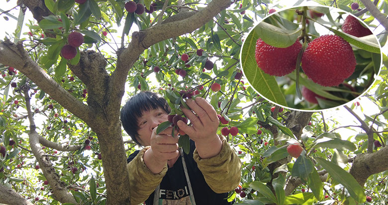 ���ش����÷�����r������ �r(ji��)���cȥ���ஔ(d��ng)