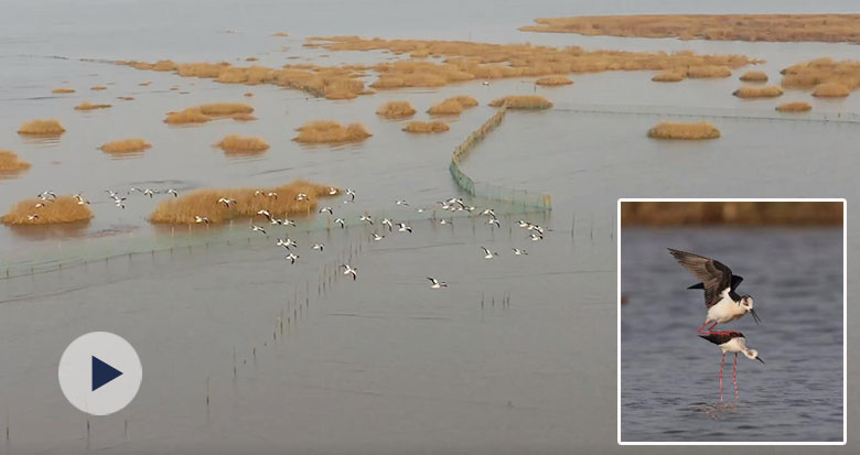 169�N��303�N ���ݞ����ҝ�ع��@��Խ��Խ���Bļ҈@