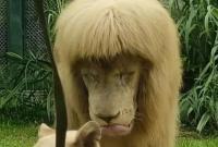 ���Ժ��ݵġ��R���������ϟ�����