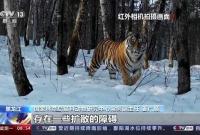 �ŚwҰ��һ�� �����_ɽ1̖���F(xi��n)����r�����