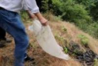 ���Ӳ�59�l�߲�С�^(q��)������������ �I(y��)���l(f��)�F(xi��n)���e��