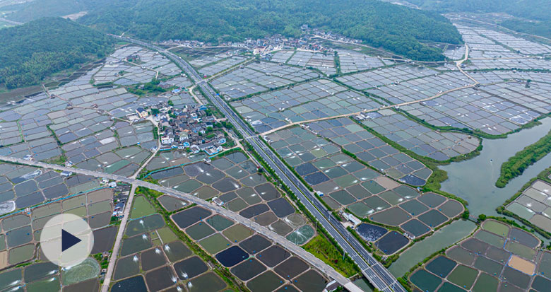 ۴�������@Ƭ���{(di��o)ɫ�P���L�͝O���¸�·