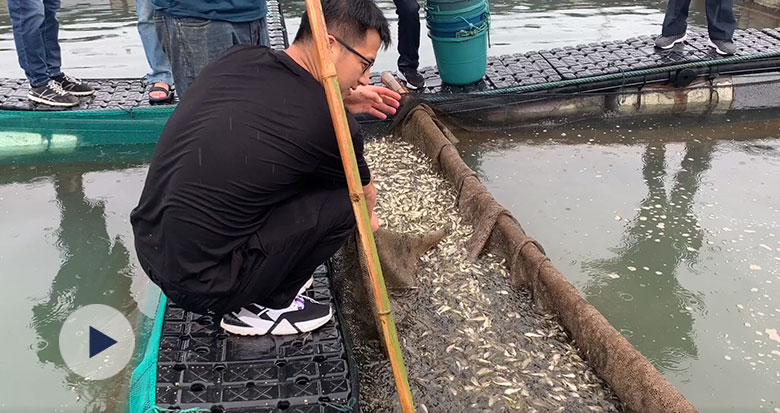 ����(sh��)�˲�֪����400���fβ�~�����@�Ӕ�(sh��)������