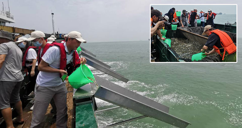 8�|��β ��20��(g��)����ˮƷ�N �����e�д�Ҏ(gu��)ģ��ֳ����