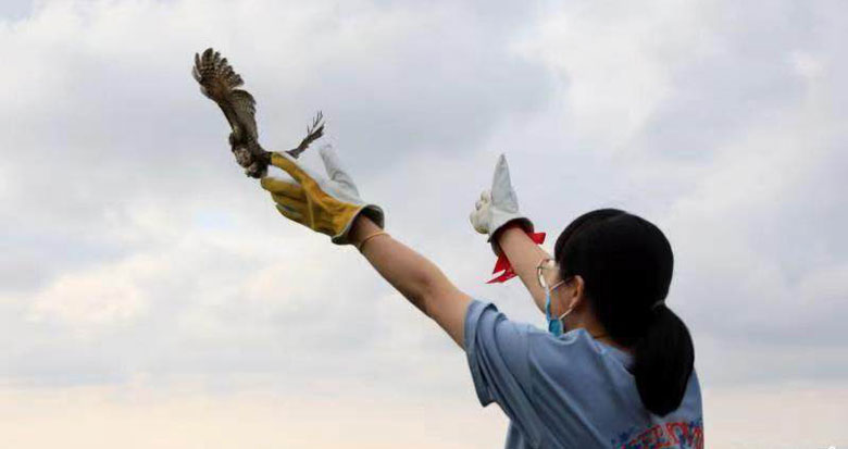 ����B(ni��o)������l�l�����������@��(g��)�f(xi��)��(hu��)һ��(g��)���¾���175ֻ