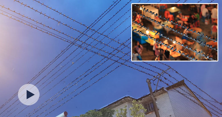 ��ǧ���fֻ����ÿ����@�ۼ� "���������"����