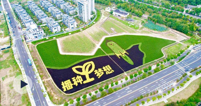 ��ɽ�����N�ʵ� �L�͉���