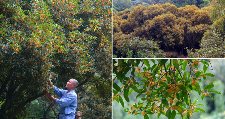 ����r��(ji��) �����@����300��ð�����ʢ�_