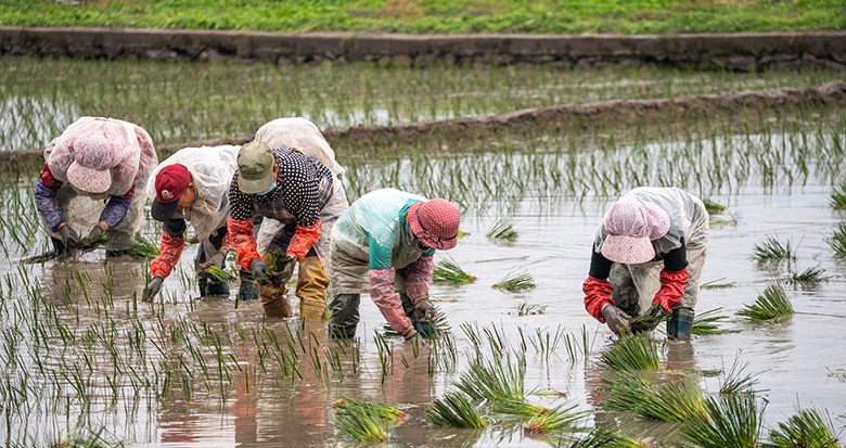 ������һ���A���_ʼ����