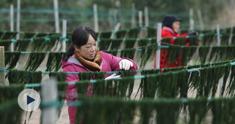 ����l(f��)�z �G�ðl(f��)�ڣ��@����ʳ������Ȧ