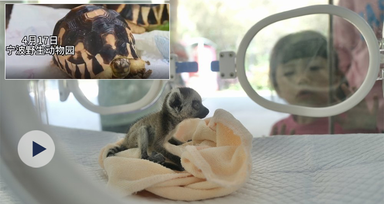 �Ȼ���������Ұ����(d��ng)��@���׃��@���_(k��i)�W(xu��)��