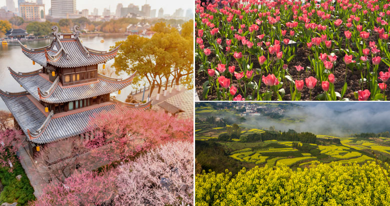 ��ʮ�����������~�F ���������p���؈D��(l��i)��