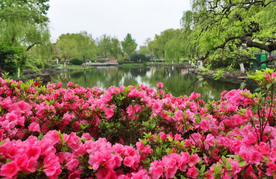 �º����N���\