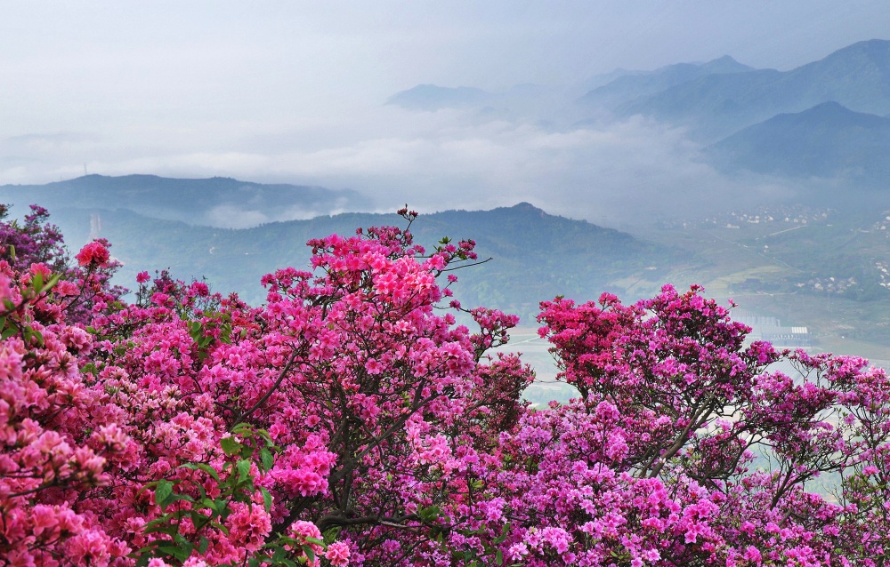 �����N�����G